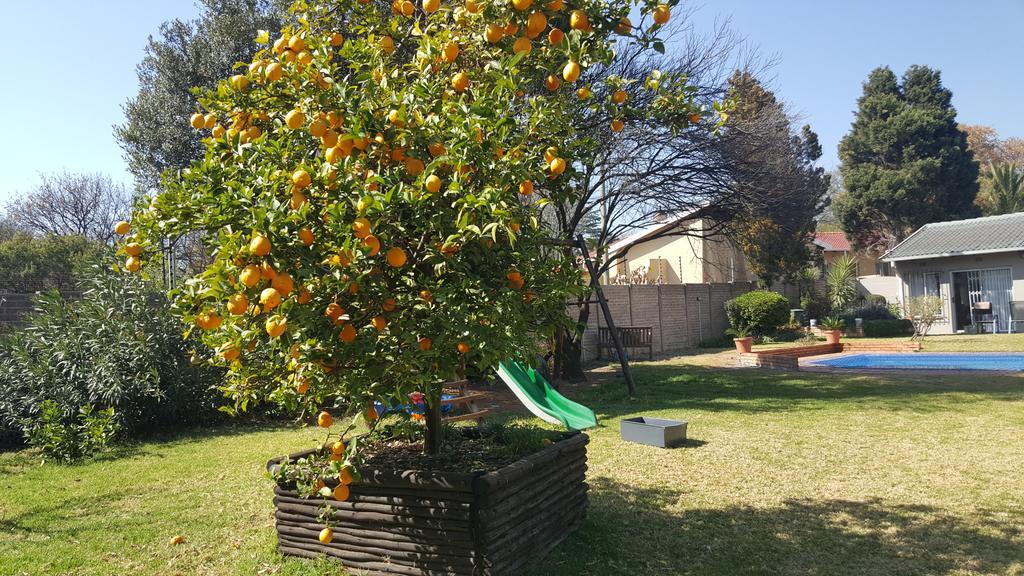 8 Ibis Lane Guest House Johannesburg Zewnętrze zdjęcie