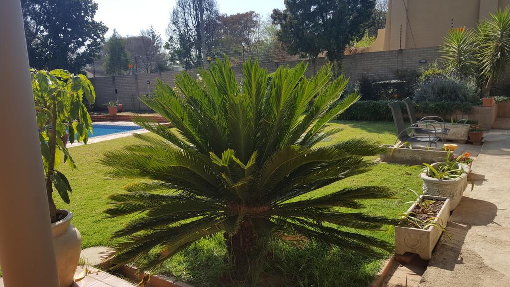 8 Ibis Lane Guest House Johannesburg Zewnętrze zdjęcie