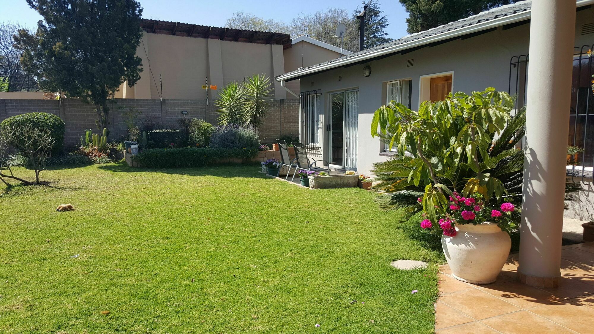 8 Ibis Lane Guest House Johannesburg Zewnętrze zdjęcie